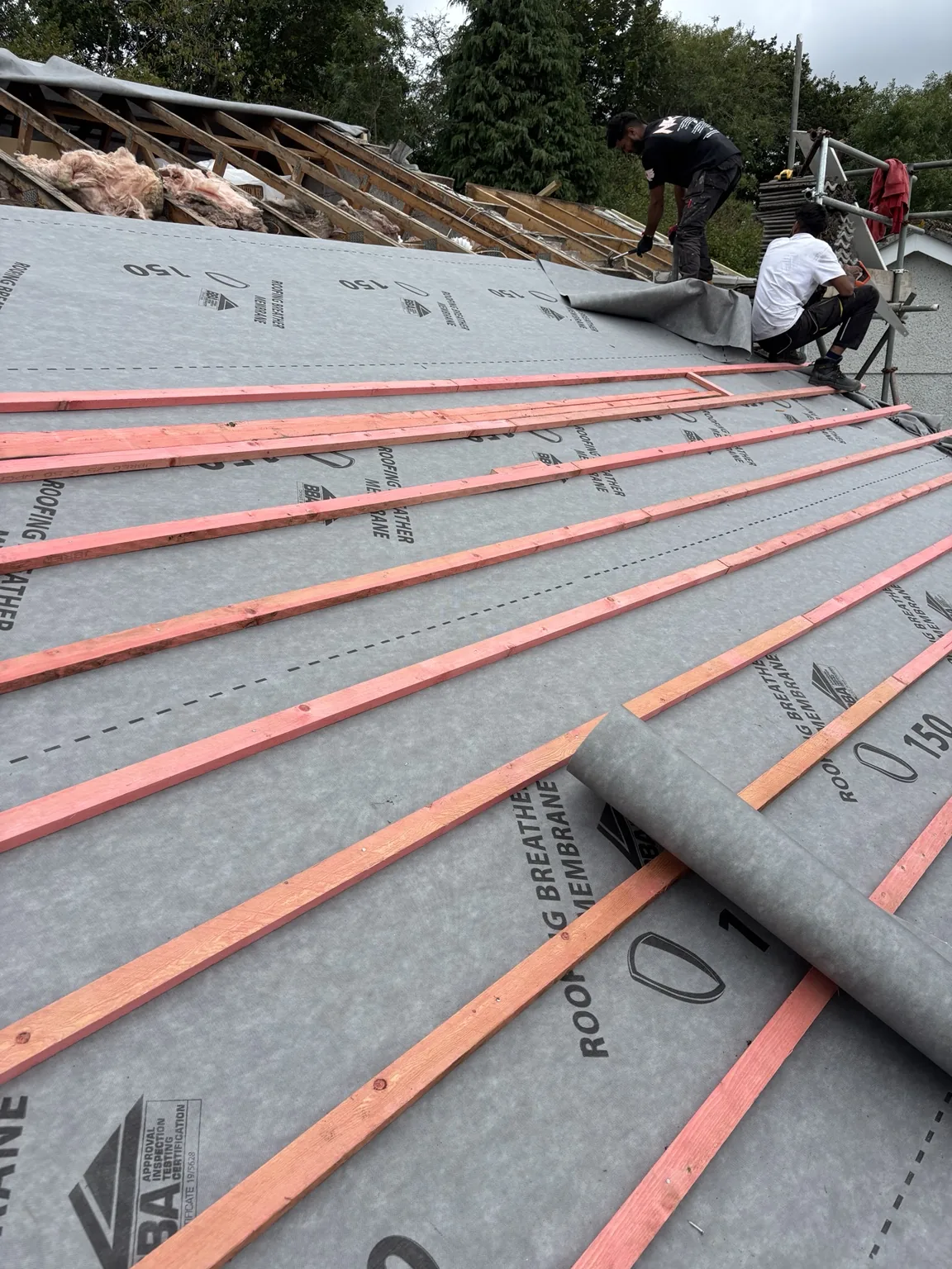 Membrane going on