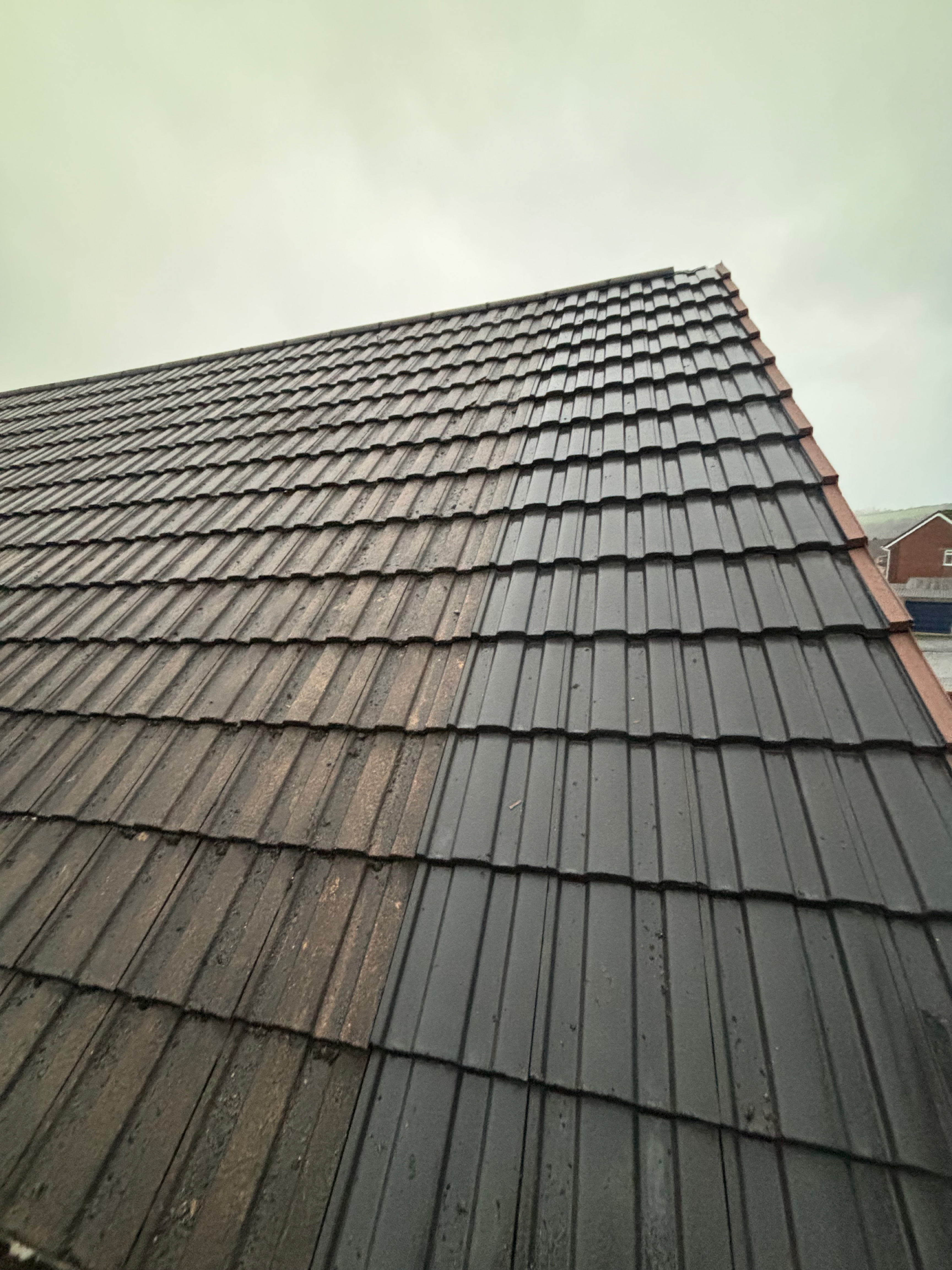 Shield Roofing project image