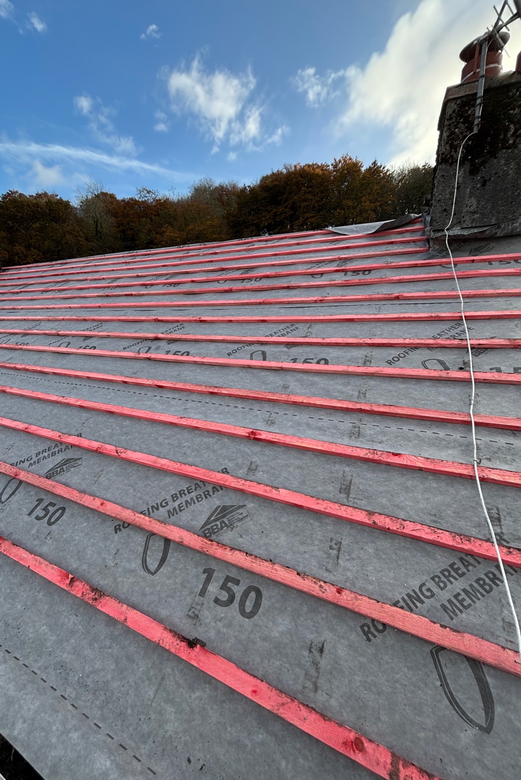 Shield Roofing project image